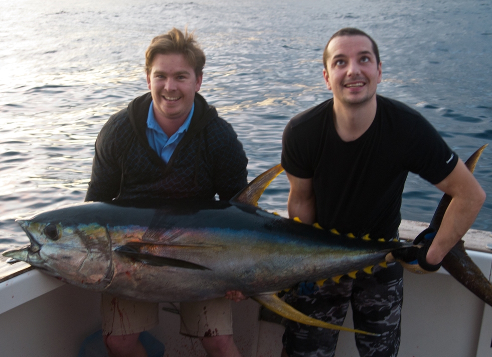 Tuna (Yellowfin) Bait Fishing Records DECKEE Community
